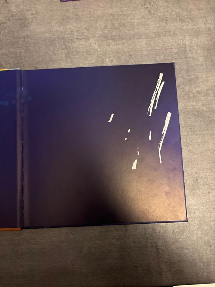 Livre Playmobil, le film - photo numéro 2