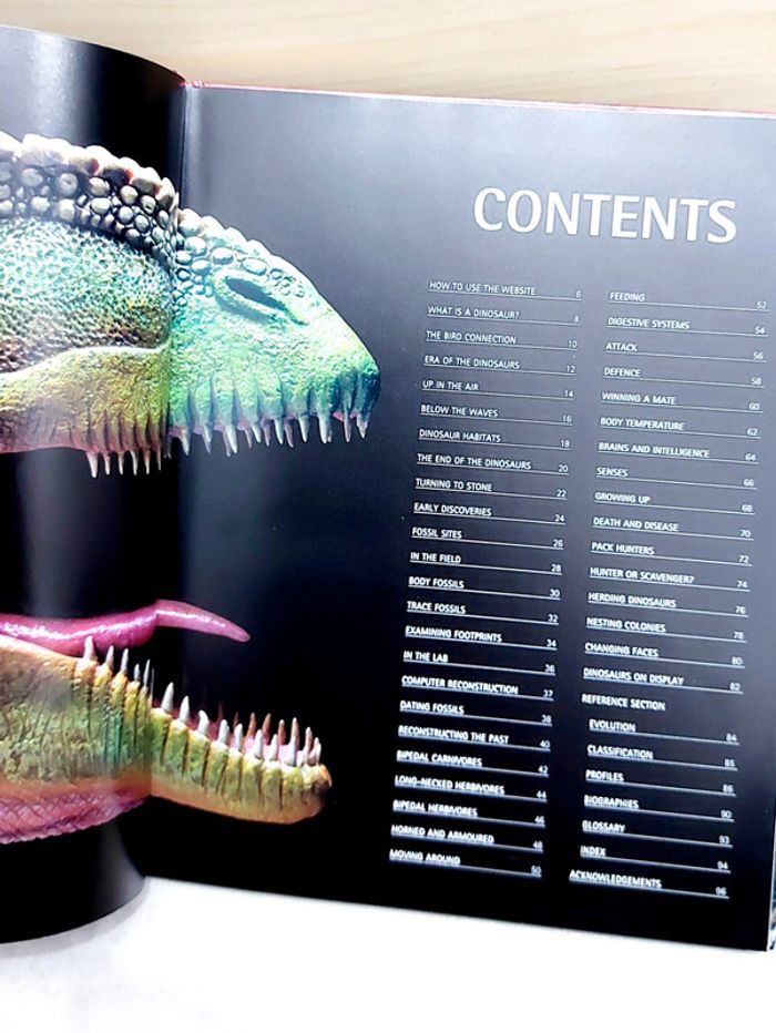 📚 Livre en anglais : e.explorer dinosaur - photo numéro 5