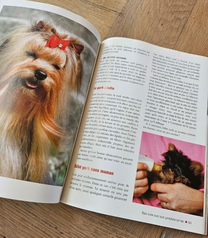 Livre Le Yorkshire terrier - photo numéro 4