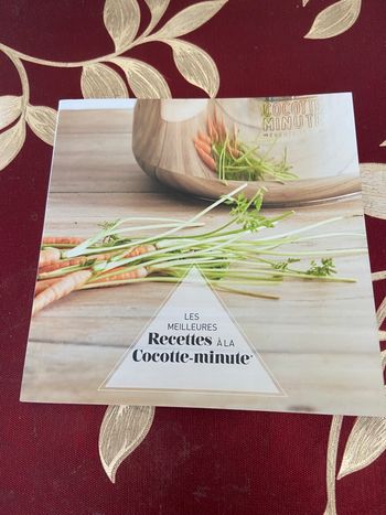 ~ Les meilleures recettes à la cocotte-minute ~