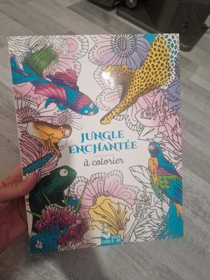 Livre coloriage jungle enchantée