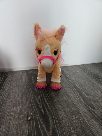 Funreal friend Canelle