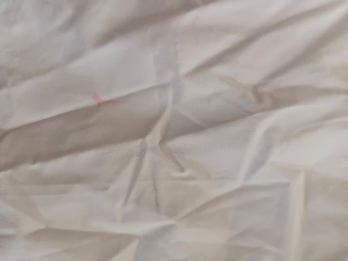 Lot de 17 chemise plus un polo chemisette - photo numéro 4