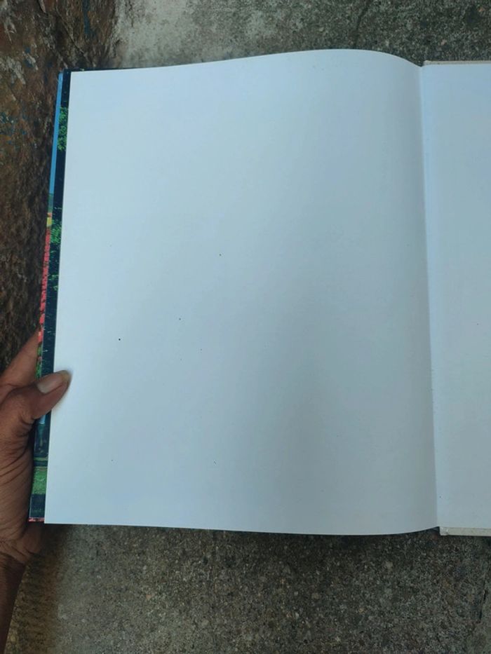 Livre hollande la terre volée à la mer - photo numéro 11