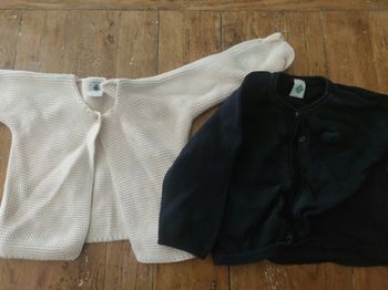 Lot 2 vestes 12 mois