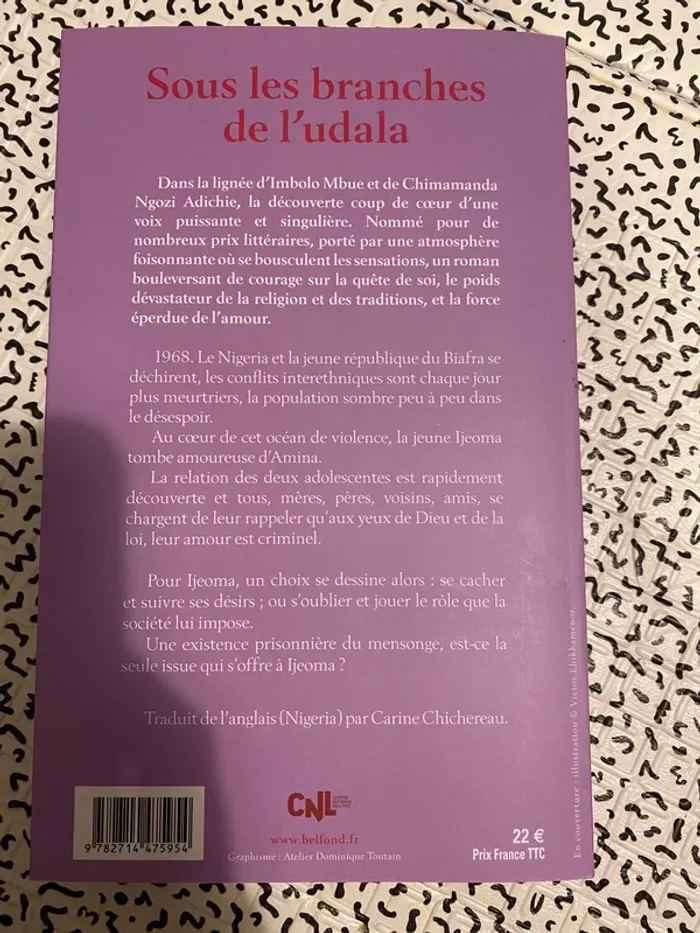 Chinelo Okparanta Sous les branches de l'udala - photo numéro 2