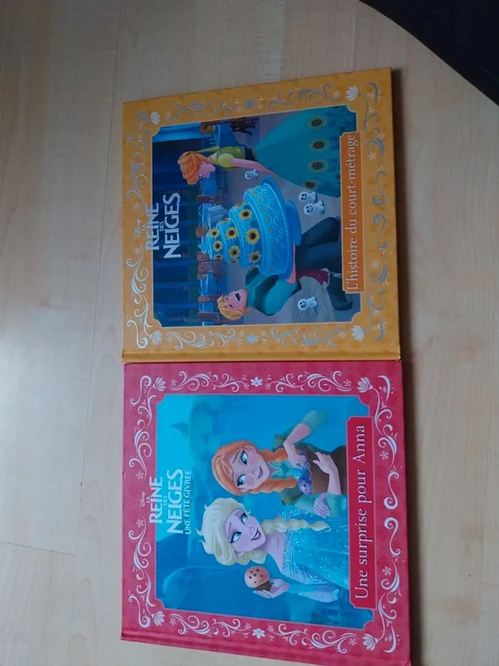 2 livres la reine des neige