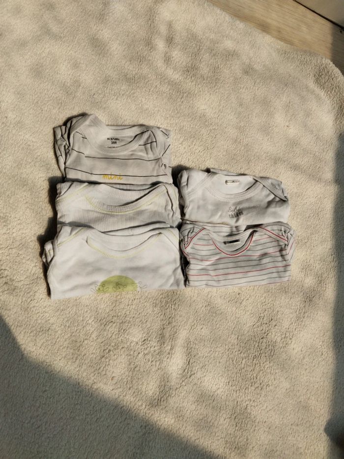 Bodies