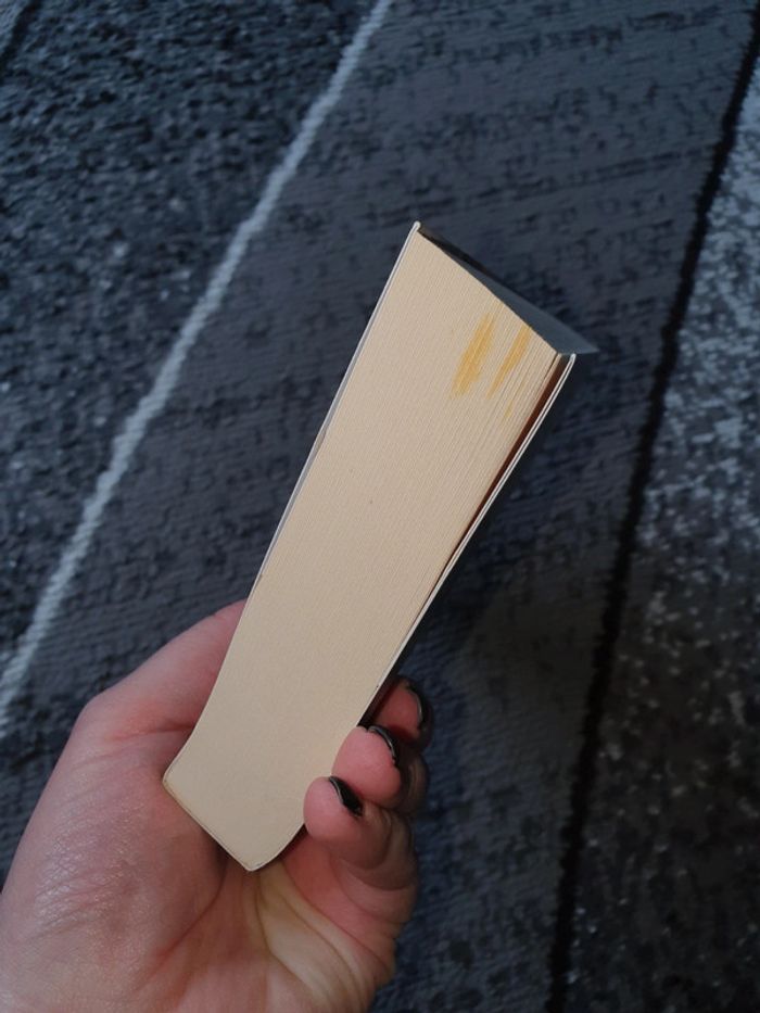 Livre "La dame du fleuve" - photo numéro 3