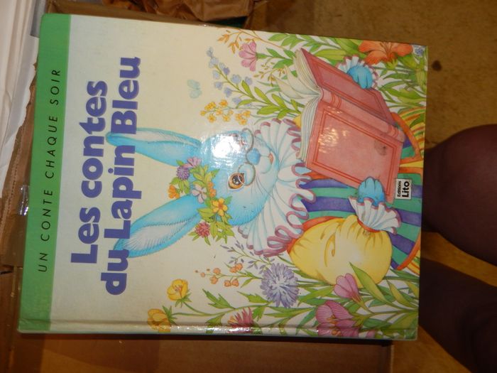 Les contes du lapin bleu - photo numéro 1