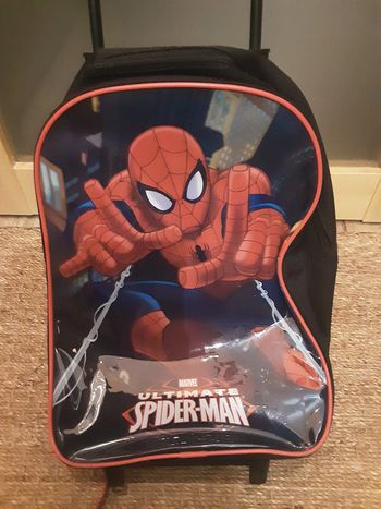 Sac Spiderman
