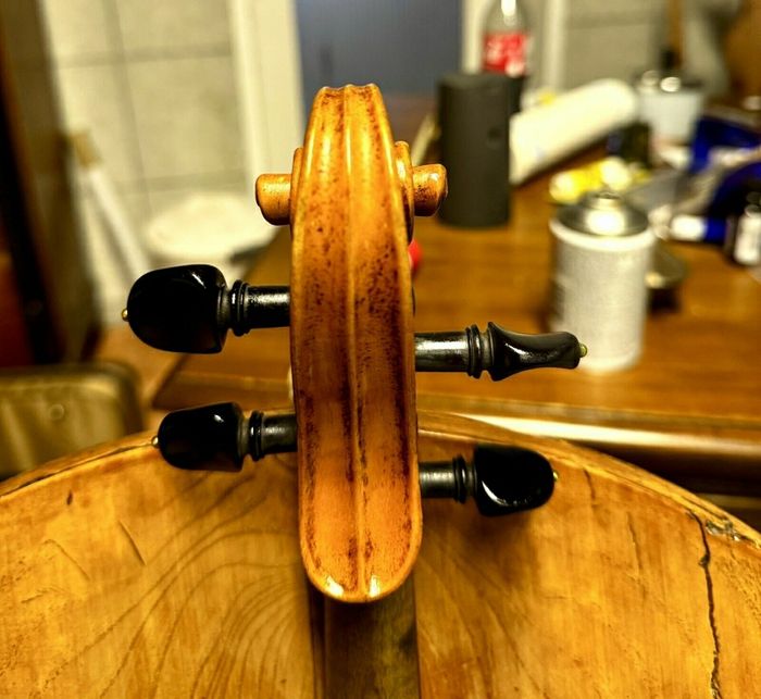 Violon 4/4  signé Alfred - photo numéro 8