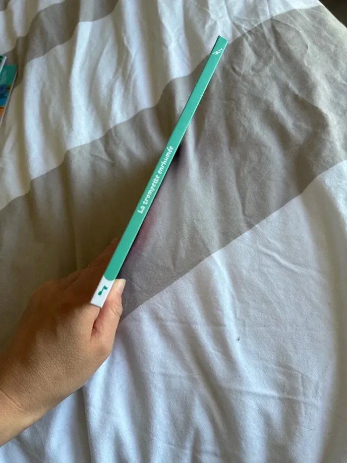 La trompette enrhumée - photo numéro 3
