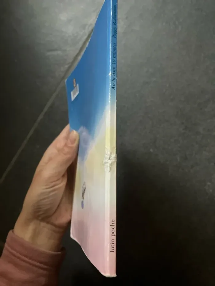Livre au lit - photo numéro 4