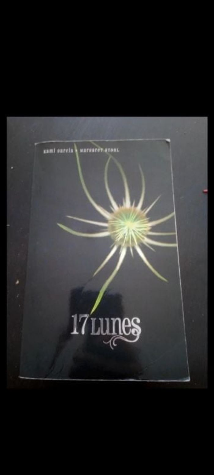 Livre 17 lunes