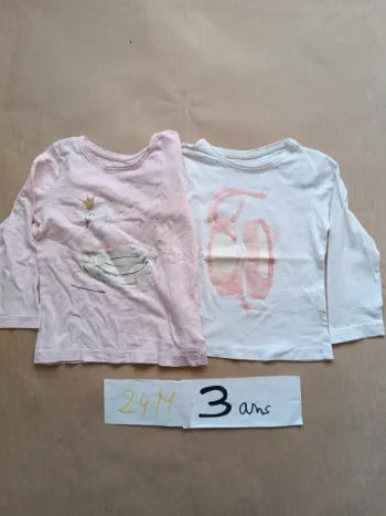 Lot 2 T-shirts 2-3 ans  (Achat=offert🎁)