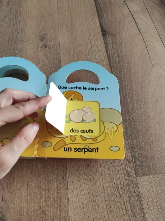 Livre : jouons à cache-cache avec les animaux - photo numéro 19