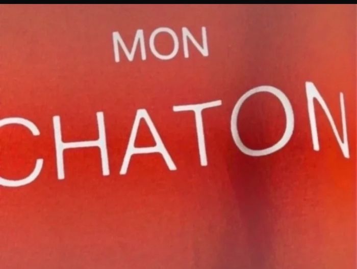 Sweat kiabi mon chaton. - photo numéro 2