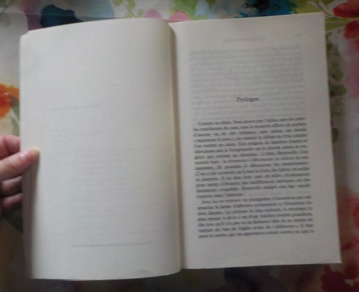 Orage sur la Calonne de Michel Ruffin Ed. France-Empire - photo numéro 6