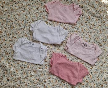 Lot 5 bodies manches courtes