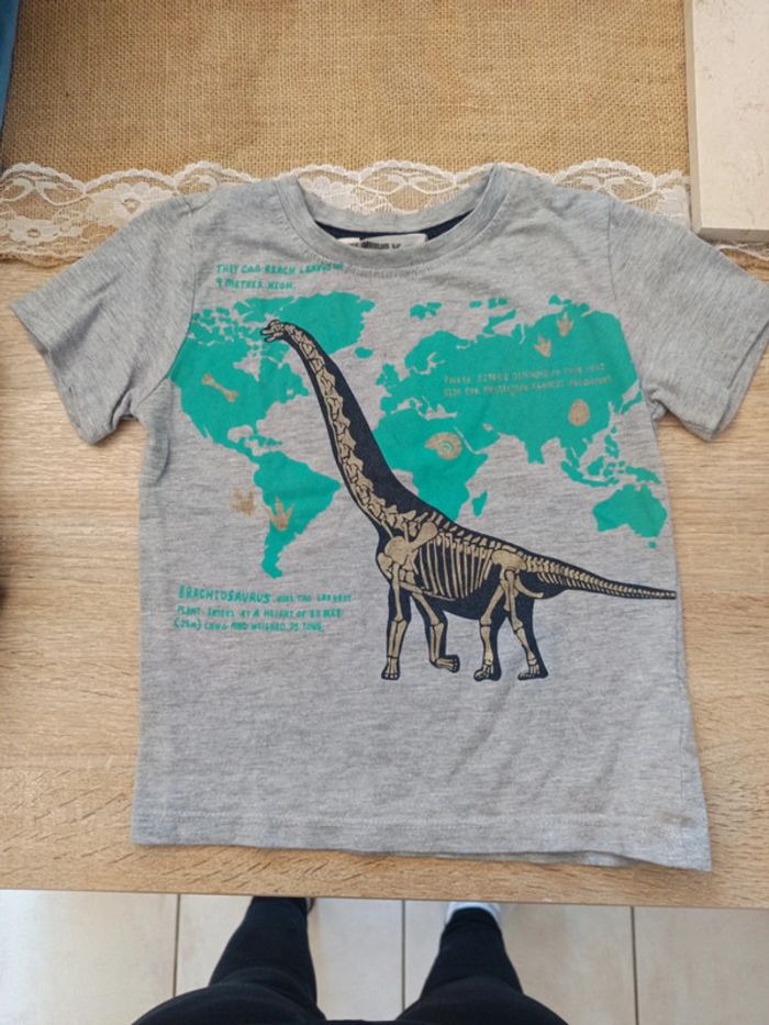 Tee shirt dinosaure