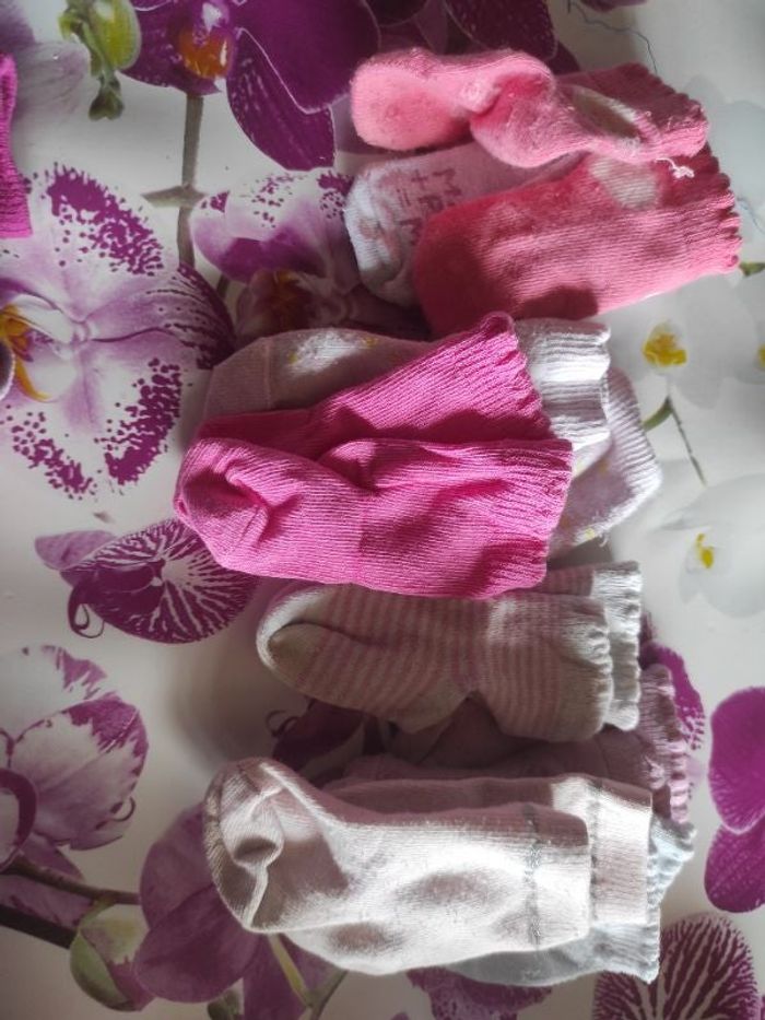 Chaussettes