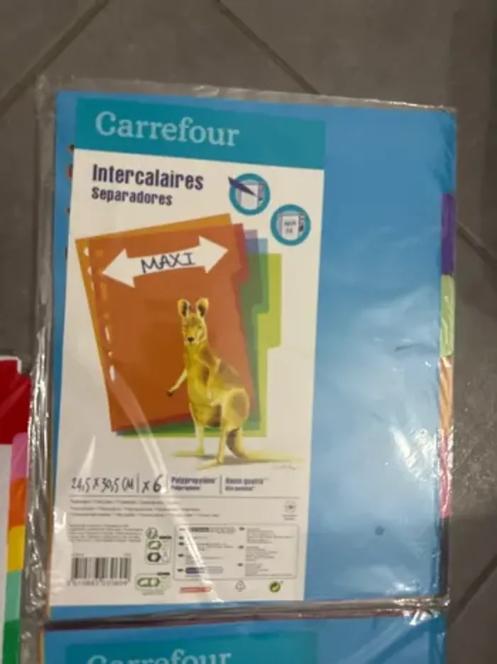 Lot intercalaires pour A4 - photo numéro 3