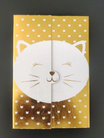 Carnet chat
