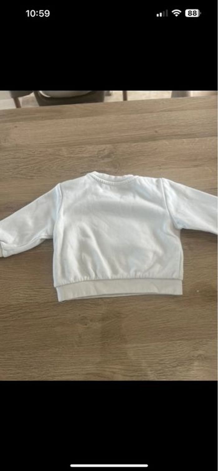 Pull ours - photo numéro 3