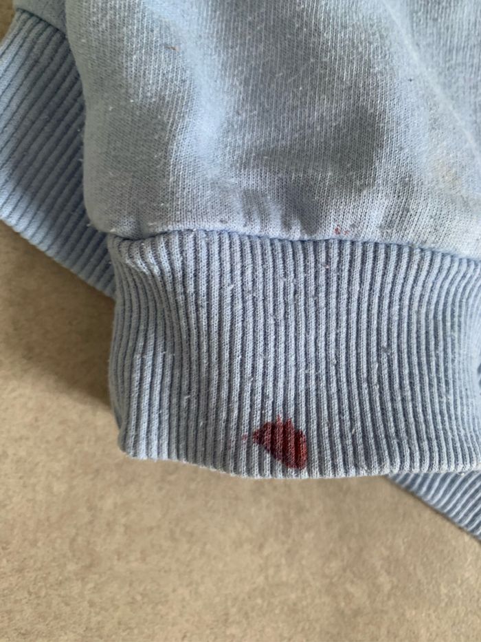 Sweat à capuche bleu ciel 14 ans - photo numéro 3