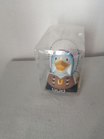 canard de bain indien 