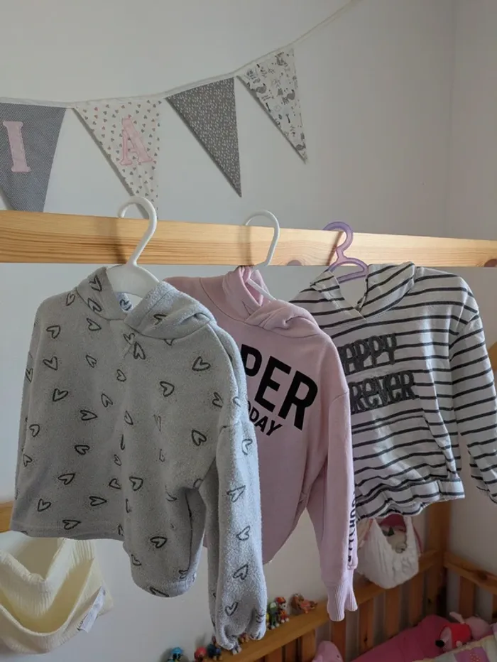 Lot 3 sweat à capuche