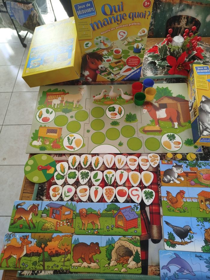 Lot de deux éducatifs - photo numéro 2