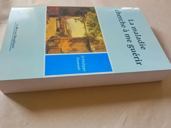 La maladie cherche à me guérir - photo numéro 7