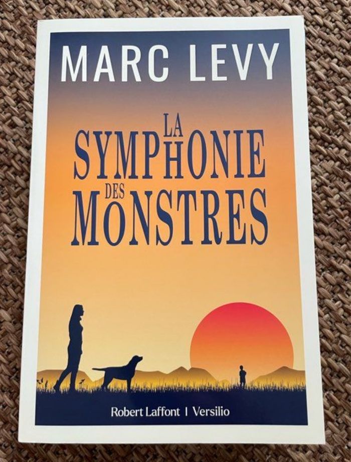 Lot de romans Marc Lévy - photo numéro 3