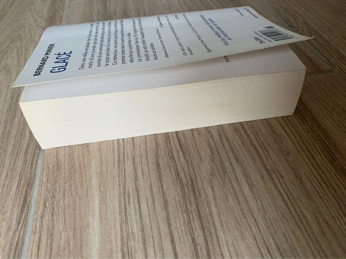 Livre Bernard minier glace thriller - photo numéro 3