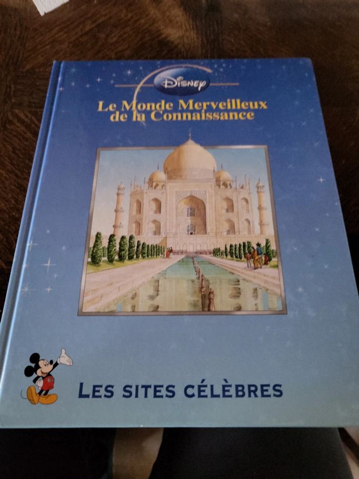 Les sites célèbres- disney