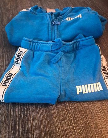 Ensemble Puma