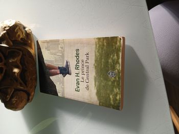 LIVRE LE PRINCE DE CENTRAL PARK DE EVAN H RHODES