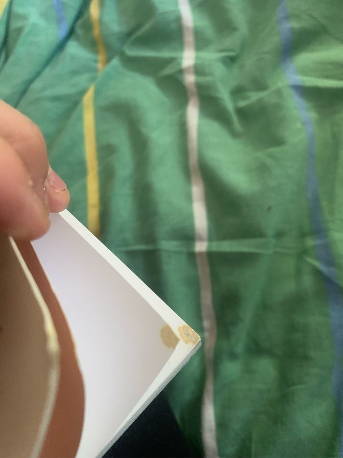 Les aventures de la famille Mellops - photo numéro 7