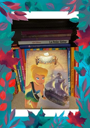 Livres Disney clochette et la fée pirate