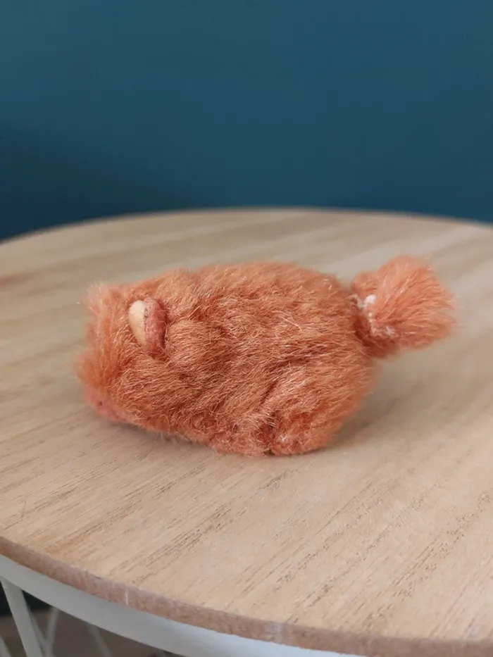 Mini bébé Chow Chow - pound Puppies - photo numéro 3