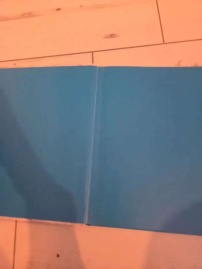 Livre "Martine en visite" - 3 titres - photo numéro 4