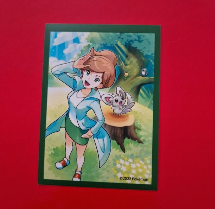 1 sleeve pokemon