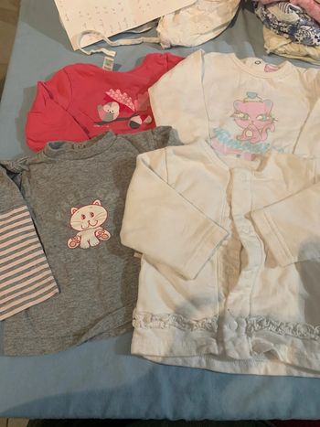 Lot 3 haut manche longue  et 1 gilet