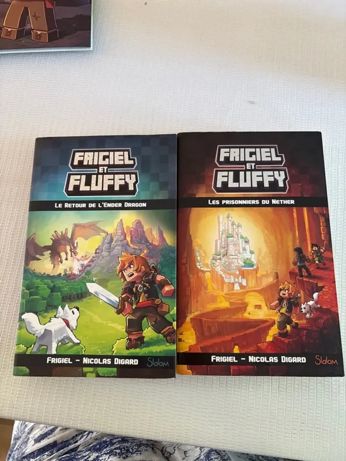 Lot de 2 livres