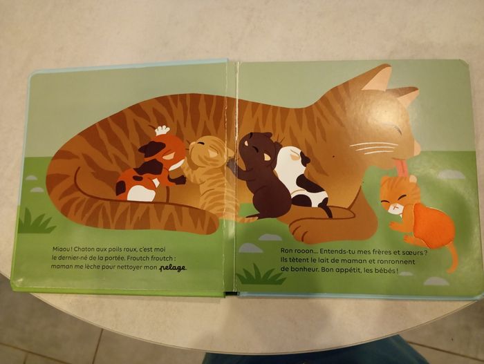 Livre le chat - photo numéro 2