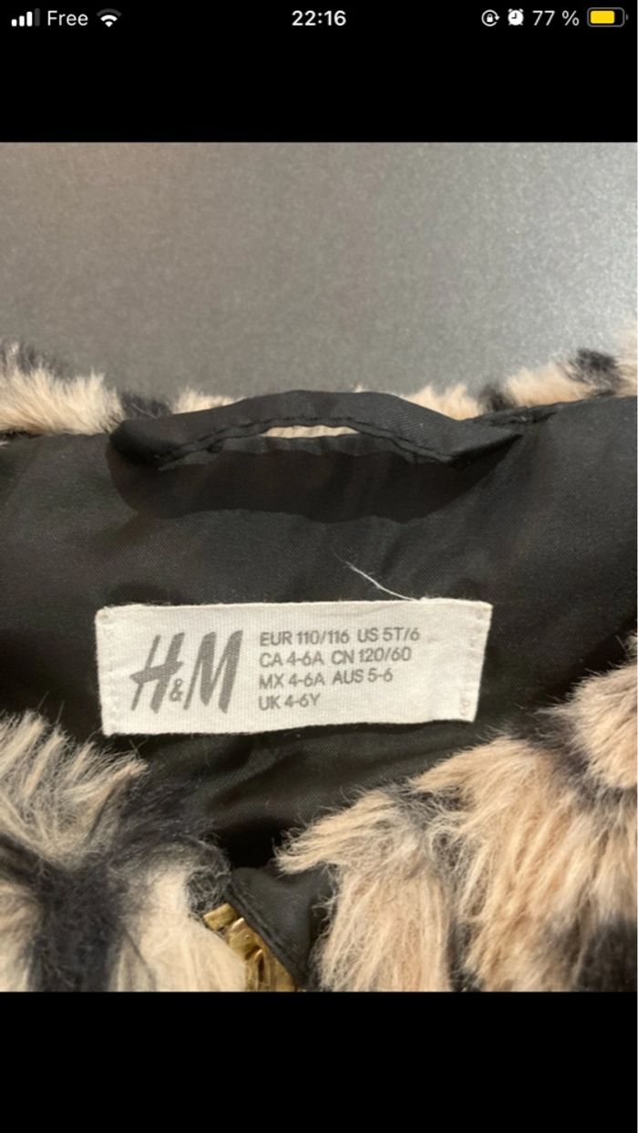 Veste - photo numéro 3