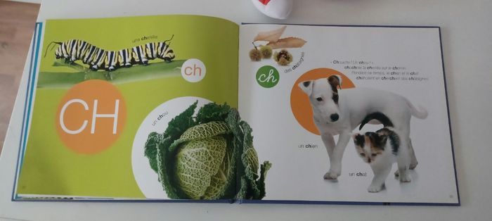 Livre les lettres neuf. - photo numéro 7