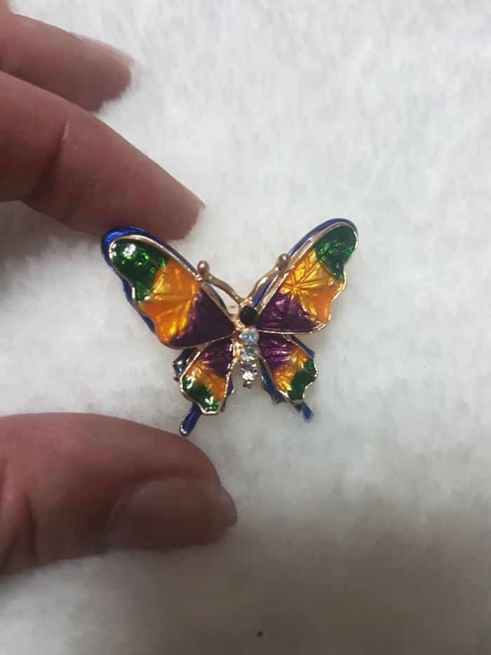 Papillon multicolore - photo numéro 4
